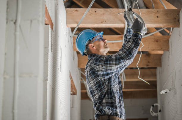 Best Residential Electrician Services  in Constantine, MI