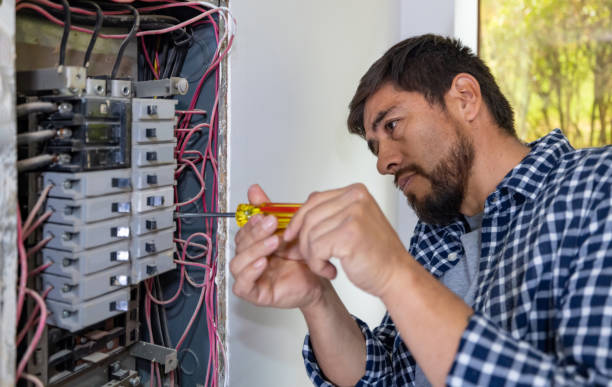 Best Licensed Electrician  in Constantine, MI